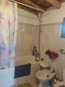 a bathroom with a tub and a toilet and a sink at Casa da Tartaruga - Marvão in Santo António das Areias +18 photos