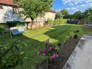 Zahrada ubytování Domacinstvo Markovic