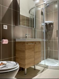 a bathroom with a shower and a toilet and a sink at paddock pétillant in Auménancourt-le-Grand