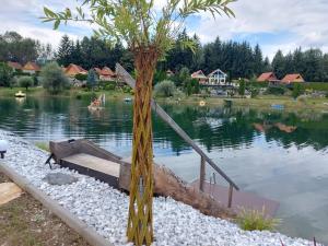 a tree sitting in the middle of a lake at Villa Gloria Spielberg in Spielberg +3 photos