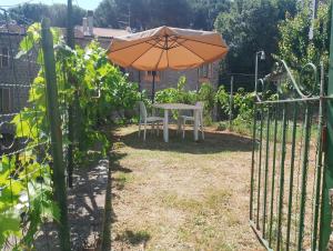 an orange umbrella and a table in a garden at Casa Vacanze Le Cannelle in Montefiascone