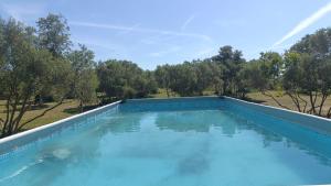 a blue swimming pool with trees in the background at La Cayon Au coeur des oliviers en Provence in Pélissanne