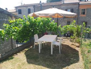 a white table and chairs under an umbrella in a garden at Casa Vacanze Le Cannelle in Montefiascone