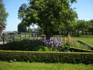 ein Garten mit lila Blumen und einem Baum in der Unterkunft Shepherds House B&B in Limmen