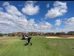 Un gato está parado en un campo de golf. en appartement- Marrakech-Sapphire, en Marrakech