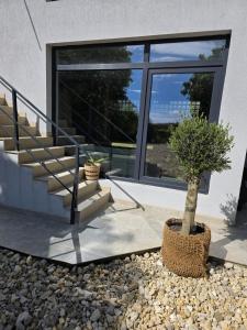 a tree in a pot in front of a house at Smochin Vama Veche in Vama Veche +1 photo