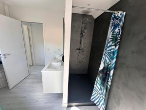 a bathroom with a shower and a sink at Egoitza apartment near Guethary in Saint-Jean-de-Luz +10 photos