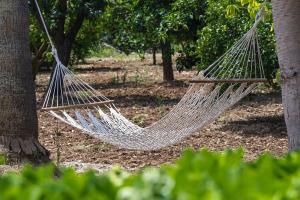 Ogród w obiekcie Finca Son Ramon Llull