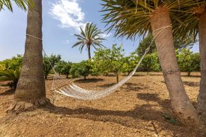 Ogród w obiekcie Finca Son Ramon Llull