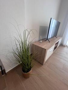 a living room with a television and a potted plant at Fred apartment in Nea Fokea