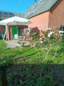 a house with an umbrella and a chair and a table at Sonnenscheinhof Alpakas, Ferienwohnung in Lasbek