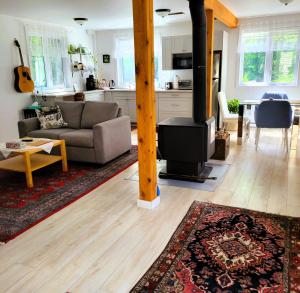 a living room with a couch and a stove at Old Library Lodge in Killaloe Station