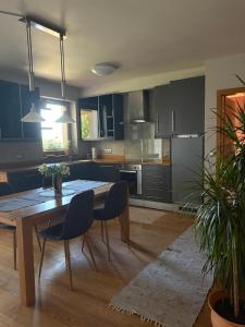 Kuchyň nebo kuchyňský kout v ubytování Apartma Rosa + 4 fotografie
