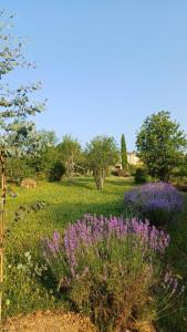 un giardino con fiori viola in un campo di Chambre indépendante, au calme douillette et confort a Itzac Altre 9 foto