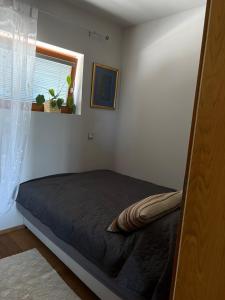 Postel nebo postele na pokoji v ubytování Apartma Rosa