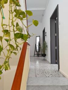 Fotografie z fotogalerie ubytování Cosy room 5 v destinaci Pietà