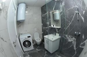 un bagno con WC e lavatrice di 22 House a Skopje Altre 24 foto
