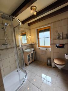 a bathroom with a shower and a toilet and a sink at Osada Magury - Bieszczady in Wetlina