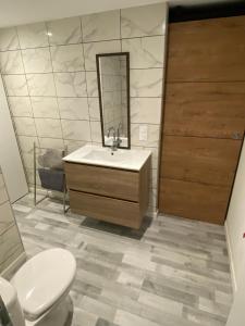ein Badezimmer mit Waschbecken, Toilette und Spiegel in der Unterkunft appartement entre mer et montagne in Ascain
