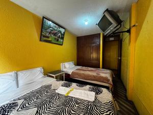 TV a/nebo společenská místnost v ubytování Hotel Jimmy Latacunga