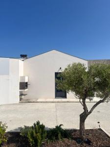 a white building with a tree in front of it at Casa do Meio #5 in São Martinho do Porto +15 photos