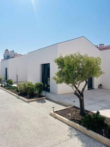 a tree in a courtyard in front of a building at Casa do Meio #5 in São Martinho do Porto