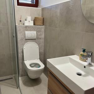 a bathroom with a toilet and a sink and a mirror at Apartmani Predovan in Vrsi +20 photos