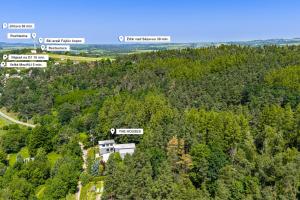 an aerial view of a house in a forest at The Houses - Chata u sjezdovky 2 in Velké Meziříčí