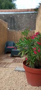 a patio with a pot of flowers and a couch at Entre ciel et Sèvre in Treize-Vents