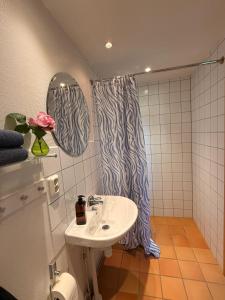 Koupelna v ubytování Rävåkra B&B Österlen
