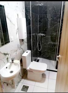 une salle de bain avec toilettes, lavabo et douche dans l'établissement Alexandar apartment 1, à Ohrid