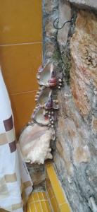 eine Gruppe von Enten an der Seite einer Mauer in der Unterkunft Tranquilidad in San Cristóbal de las Casas