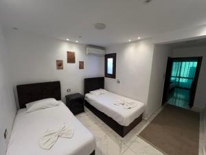 Легло или легла в стая в Middle East Stay & Tours
