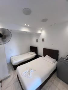 Легло или легла в стая в Middle East Stay & Tours