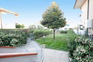 a view of a garden with a tree and a sidewalk at il giardino del mirto in Vicarello