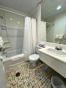 a bathroom with a tub and a toilet and a sink at La Porte de la Mauricie in Louiseville +38 photos