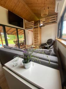 a living room with a couch and a table at Drewniana ostoja, jacuzzi, sauna, basen - domek na wyłączność in Jelonek