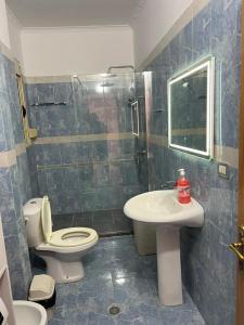 ヴロラにあるSoni Apartmentsのトイレ、洗面台、シャワー付きのバスルーム