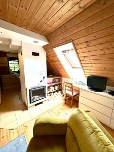 a living room with a couch and a stove at Studio Gościnne ANTEK in Czarnów +27 photos