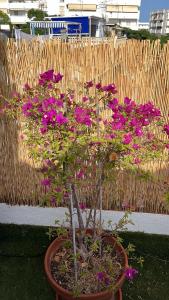 a pot filled with purple flowers in front of a fence at Marbella Secret Attic in Marbella
