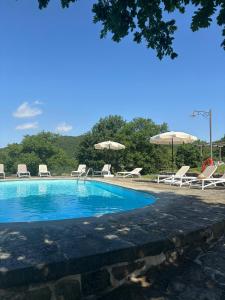 a swimming pool with chairs and umbrellas at Agriturismo D'ambiano in Arezzo
