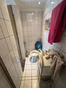 ノイヴィートにあるApartment in Neuwiedのトイレと洗面台のある小さなバスルーム