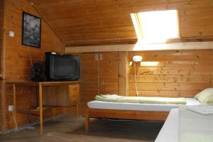ブダペストにあるハンガリア ゲストハウスのキャビン内のベッド1台とテレビ付きの部屋