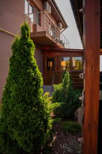 Zahrada ubytování Casa Coco