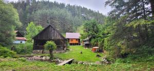 a house in the middle of a forest at Chata Turík in Turík