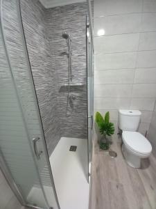 a bathroom with a shower with a toilet and a shower at A Redonda Vivienda Vacacional in Cangas de Morrazo