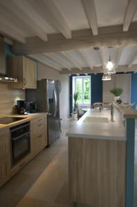 a large kitchen with a sink and a refrigerator at Le jardin sainte anne in Balnot-sur-Laignes