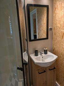 a bathroom with a sink and a mirror and a shower at Domek Letniskowy Zefirek in Nowy Dwór