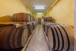 Foto dalla galleria di Ražman Wine Rooms a Gračišče