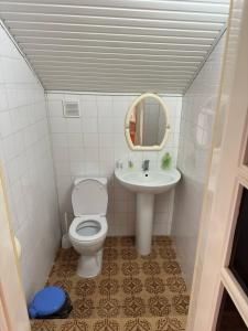 a small bathroom with a toilet and a sink at Guest House Chkalovka Garden in Sevan +36 photos